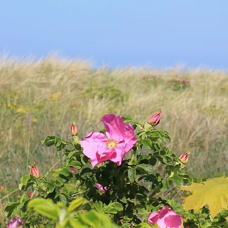 Gartenidyll Ostseebad Kühlungsborn